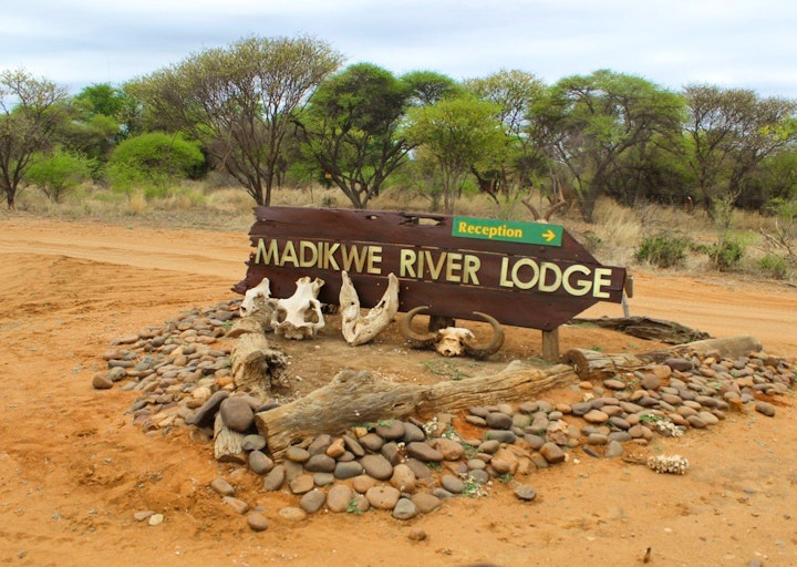 South-East District Accommodation at Madikwe River Lodge | Viya
