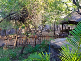 Kruger National Park South Accommodation at  | Viya