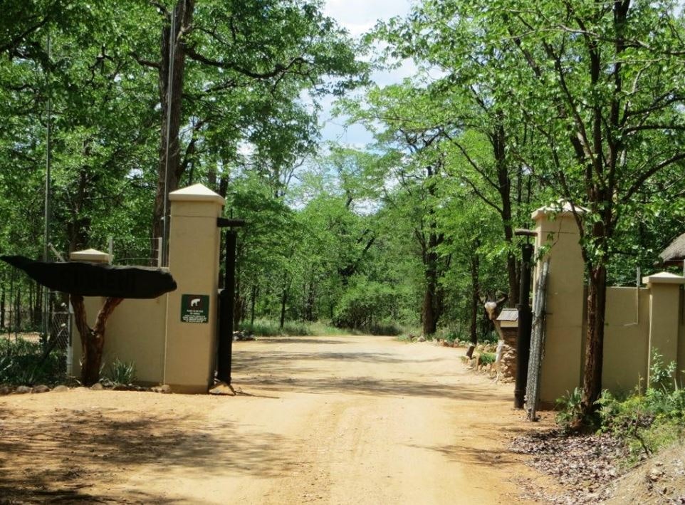 SANParks Sirheni Bushveld Camp | Rooms