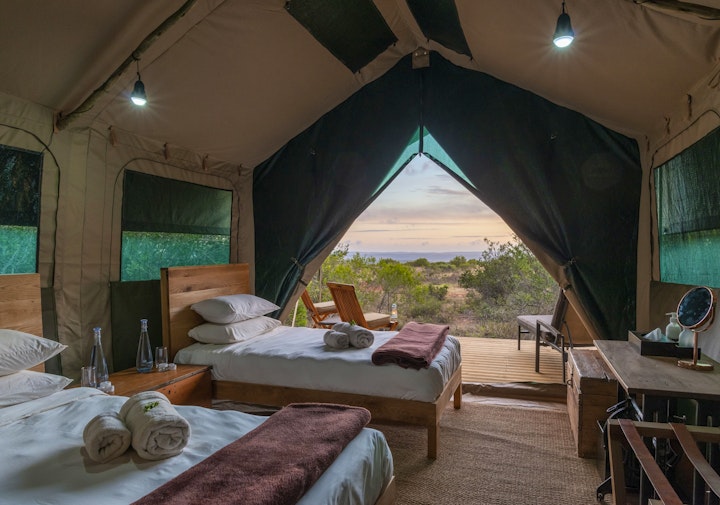 Eastern Cape Accommodation at Shamwari Explorer Camp | Viya