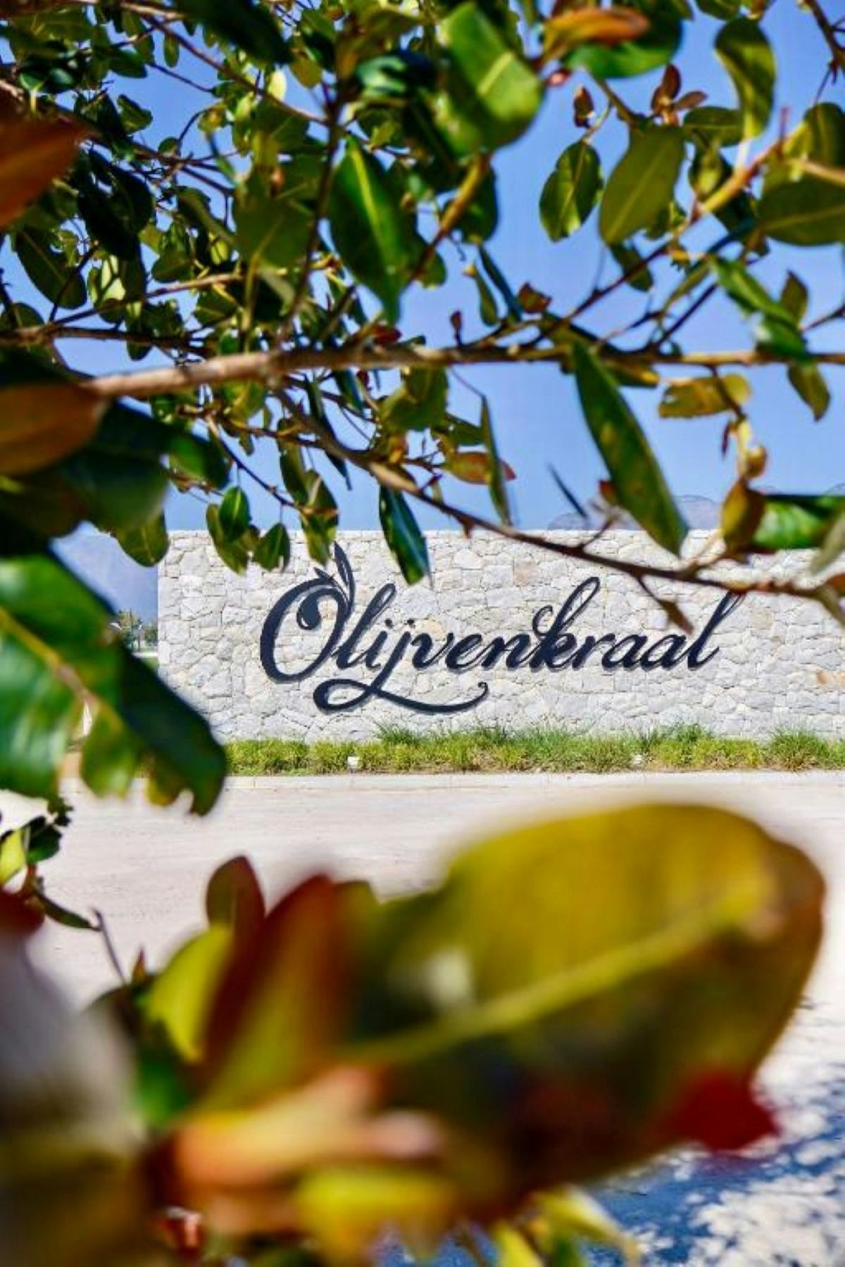 Olijvenkraal Winelands Lodge image no 12 of 15