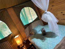 Kruger National Park South Accommodation at  | Viya