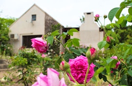 Overberg Accommodation at  | Viya