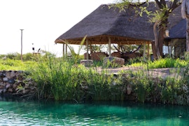 Limpopo Accommodation at Bua Nnete Game Lodge | Viya