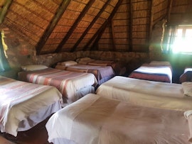 Cradle Of Humankind Accommodation at  | Viya