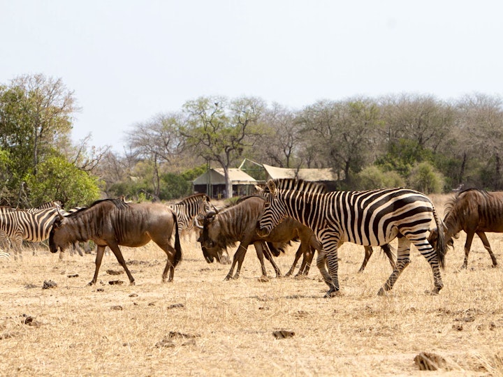 Mpumalanga Accommodation at Plains Camp | Viya