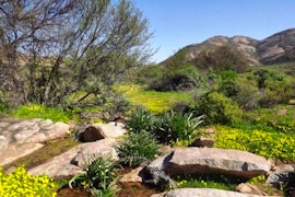 Namaqualand Accommodation at Verbe Farm - Letjie's House | Viya