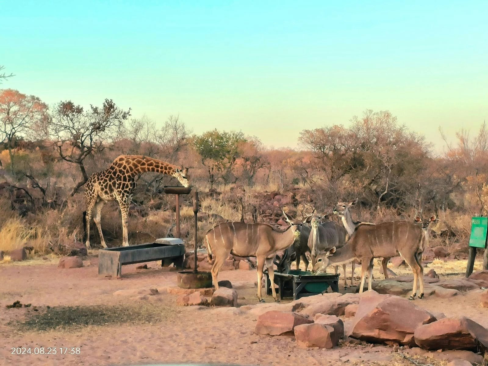 Thaba Monate Game Lodge.