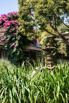 Middelburg Accommodation at Town and Country Guest House | Viya