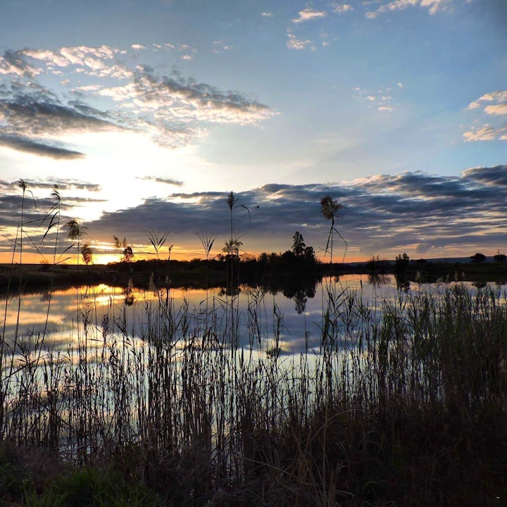 Waterberg Accommodation at Groendraai River Cottages | Viya