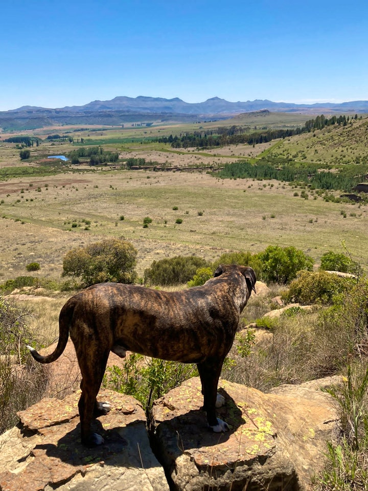 Free State Accommodation at Blackwoods Farm Cottages | Viya