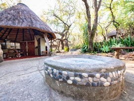 Hoedspruit Accommodation at  | Viya