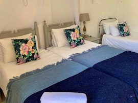 Karoo Accommodation at  | Viya