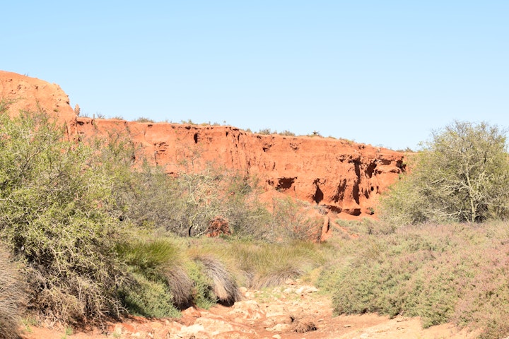 Overberg Accommodation at Aloe Canyons Guestfarm | Viya