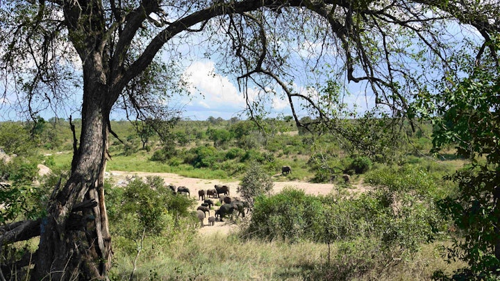 Kruger To Canyons Accommodation at Villa Tall Horse | Viya