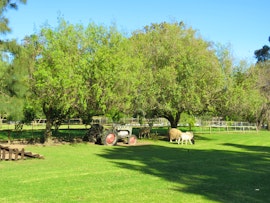 Overberg Accommodation at  | Viya