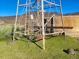 Northern Cape Accommodation at Dassiekloof Gasteplaas | Viya