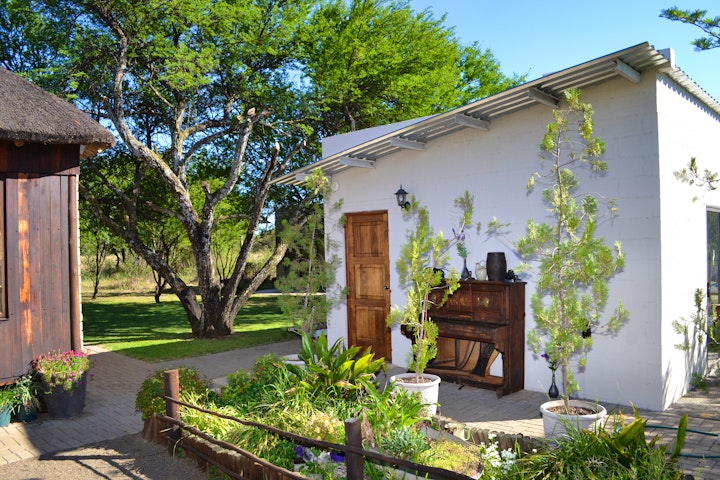 Free State Accommodation at Thorn Tree Lodge | Viya