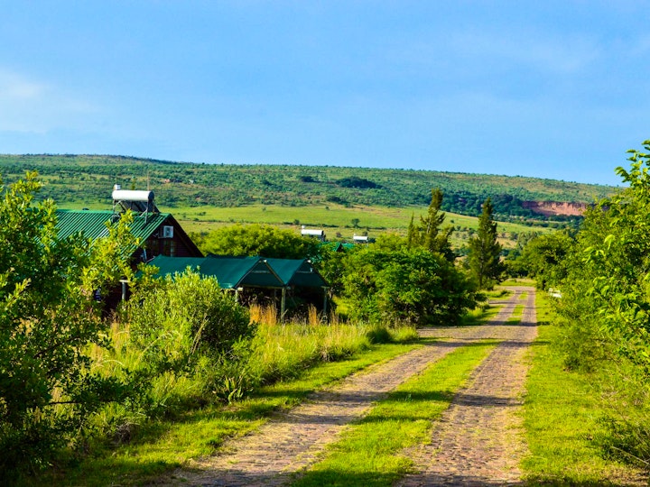 Gauteng Accommodation at Stone Hill - Cabbage Tree Cottage | Viya