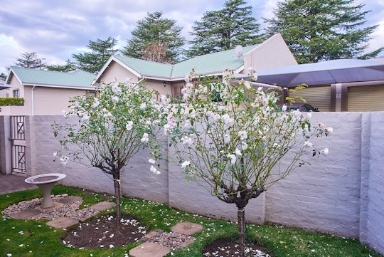 Drakensberg Accommodation at  | Viya