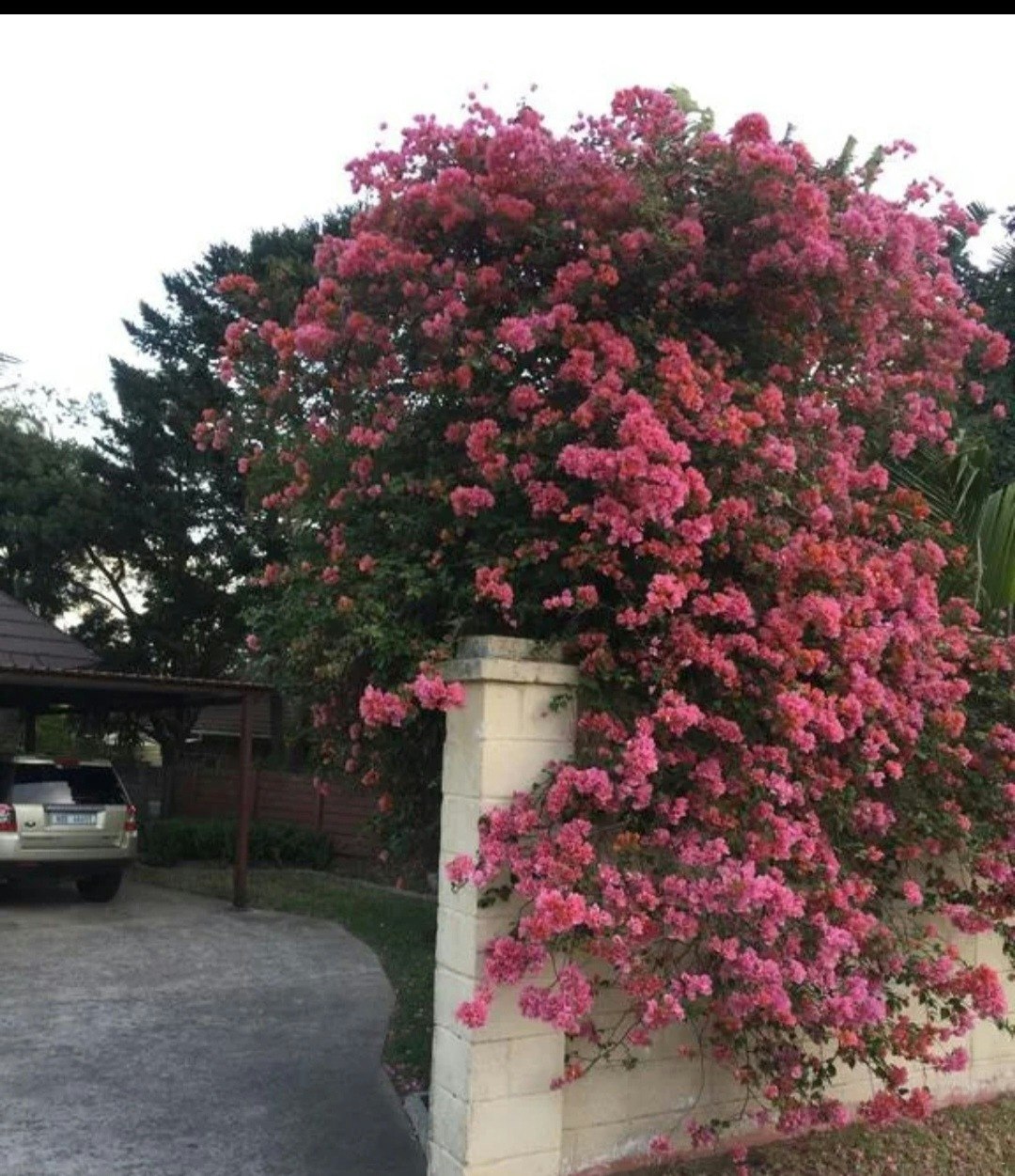 Serendipity Guest House image no 6 of 6