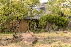 Vaalwater Accommodation at Tintswalo Family Camp | Viya