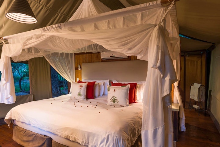 Limpopo Accommodation at Aha Thakadu River Camp | Viya