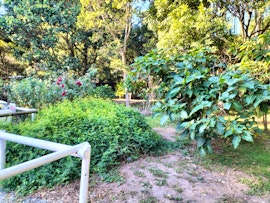 Garden Route Accommodation at  | Viya
