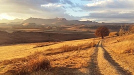 Drakensberg Accommodation at Jovali | Viya