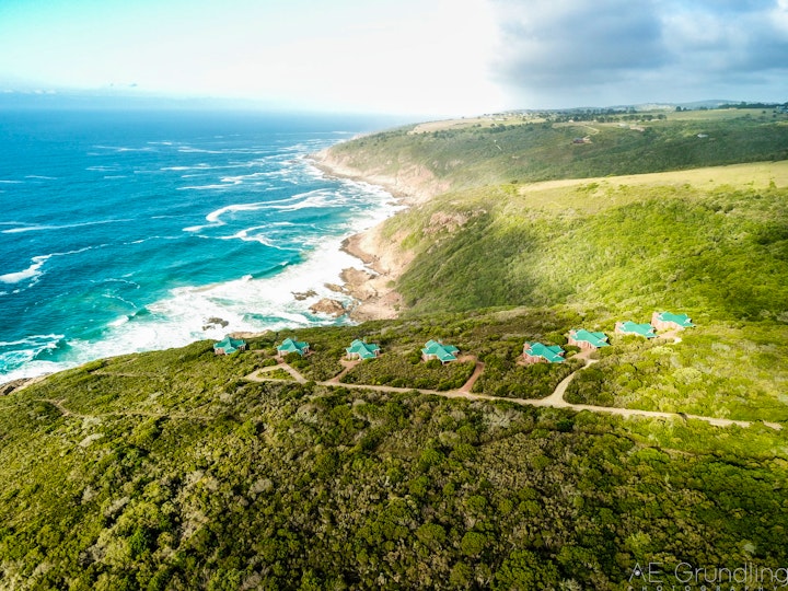 Western Cape Accommodation at Blue Whale Resort | Viya