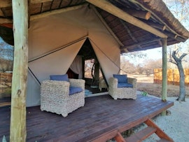 Dinokeng Game Reserve Accommodation at Cikeru Bush Camp - Buffalo | Viya