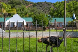 Garden Route Accommodation at De Oude Meul Country Lodge and Restaurant | Viya