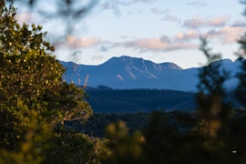 Western Cape Accommodation at Moonshine on Whiskey Creek - Bushpig Forest Cabin | Viya