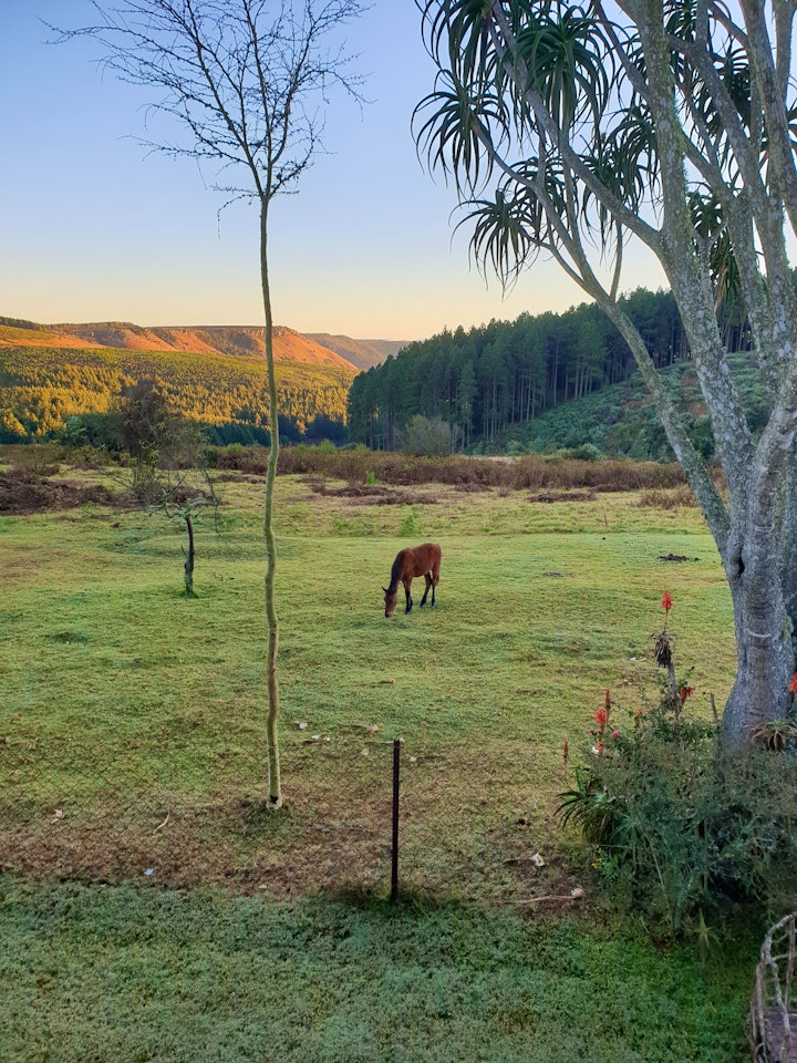 Mpumalanga Accommodation at The Blue Swallow | Viya