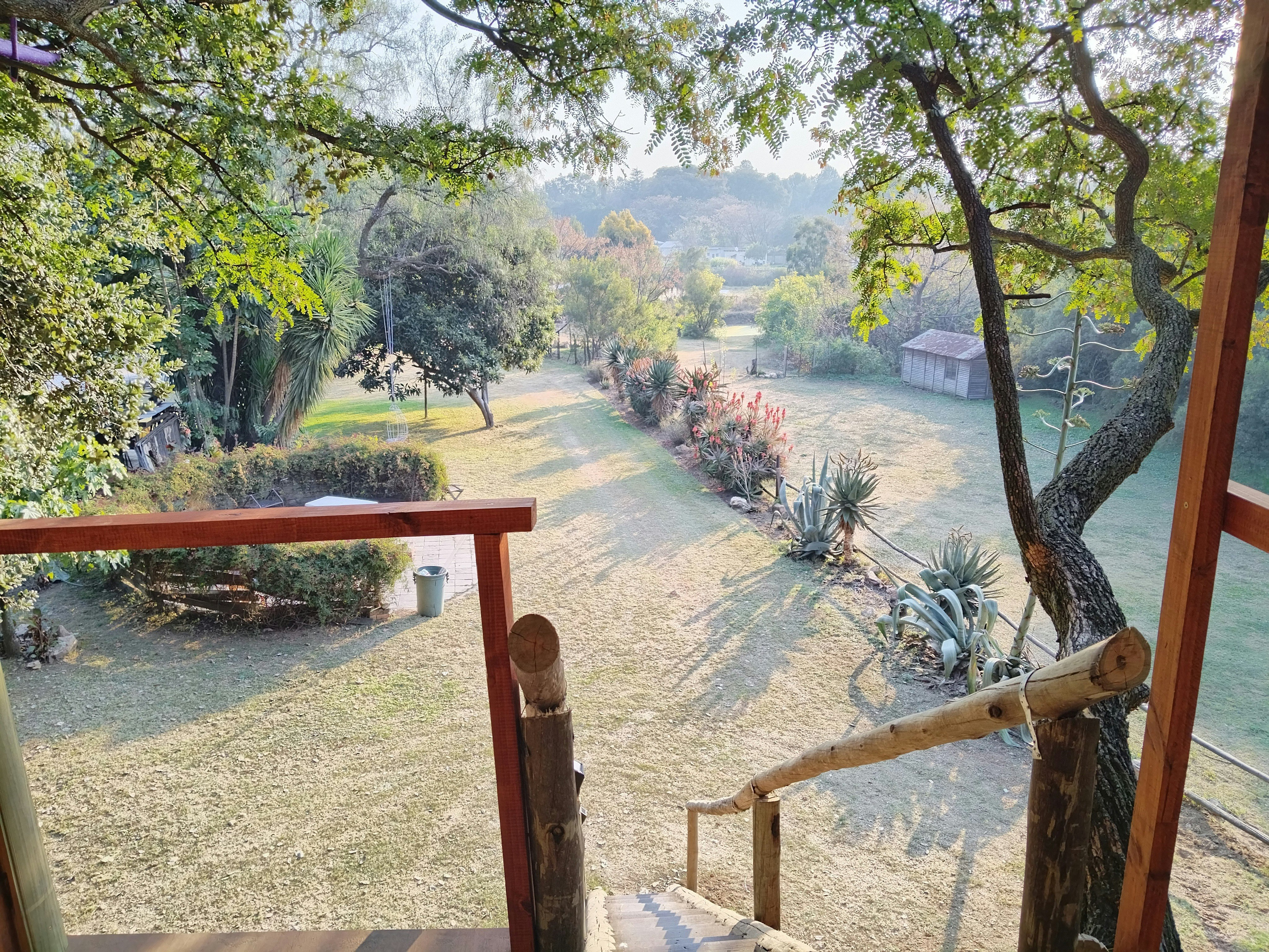Tree House Living image no 3 of 14