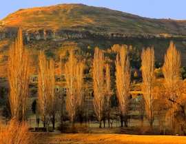 Drakensberg Accommodation at Lake Clarens Guest House | Viya