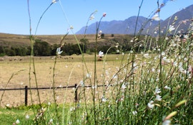 Overberg Accommodation at Arumvale Country Retreat | Viya