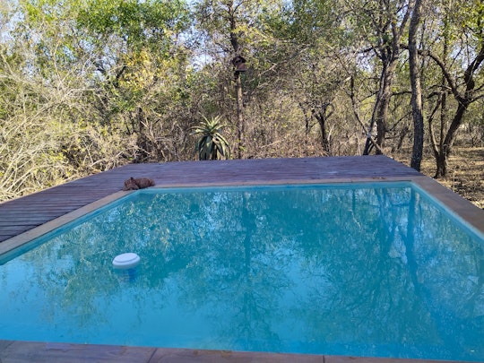 Kruger National Park South Accommodation at  | Viya