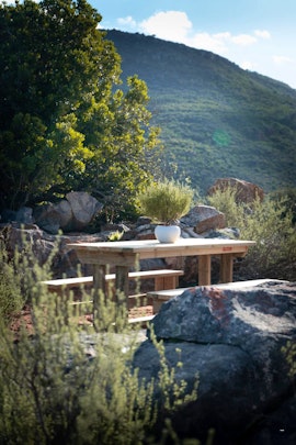 Western Cape Accommodation at  | Viya