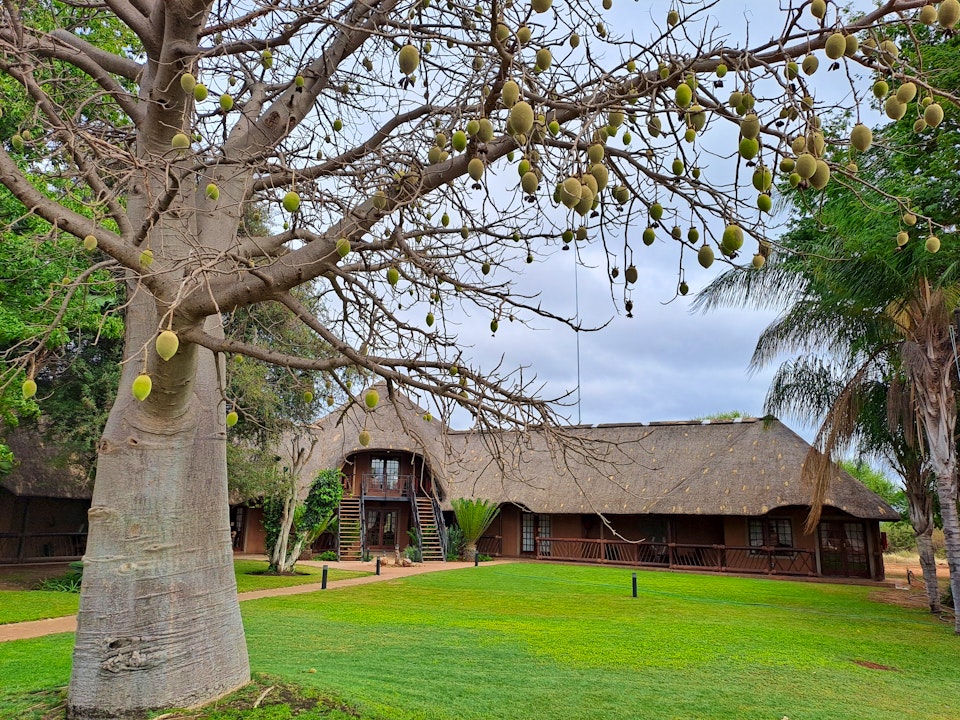 Limpopo Accommodation at  | Viya