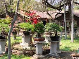 Kruger To Canyons Accommodation at Hoed en Berg Guest House | Viya