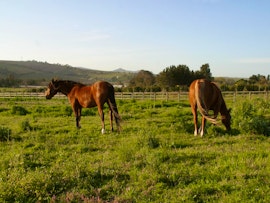 Boland Accommodation at EersteBosch | Viya