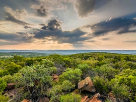 Limpopo Accommodation at Lindani Game and Lodges | Viya