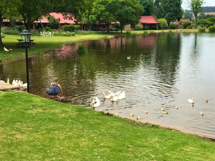 Panorama Route Accommodation at Lakeside Chalets Critchley Hackle Lodge | Viya