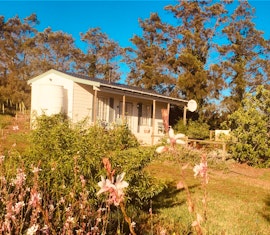 Grabouw Accommodation at  | Viya