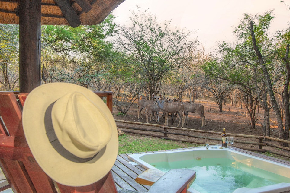 Kruger National Park South Accommodation at  | Viya