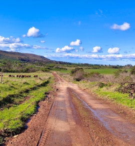 Overberg Accommodation at Magdala Guest Farm | Viya