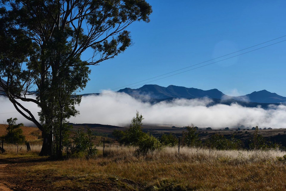 Clarens Accommodation at  | Viya