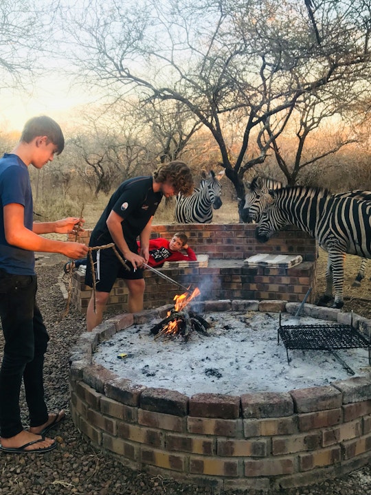 Kruger National Park South Accommodation at  | Viya