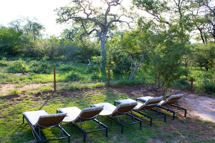 Limpopo Accommodation at Rafiki Bush Lodge | Viya